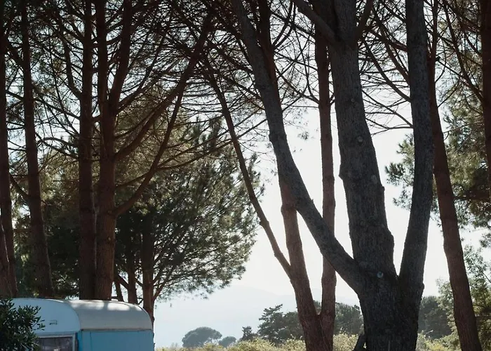 Caravane Janis On The Beach